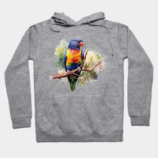 Rainbow Lorikeet Hoodie